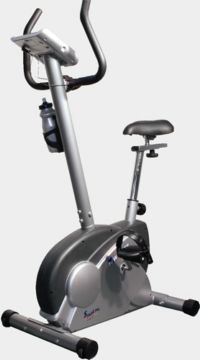 ������������ Winner Starling New